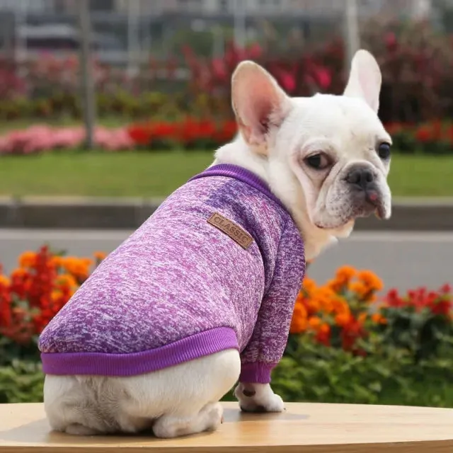 Classic Warm Dog Sweater