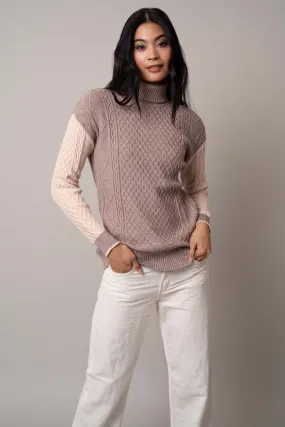 Two-Tone Turtle Neck Pullover