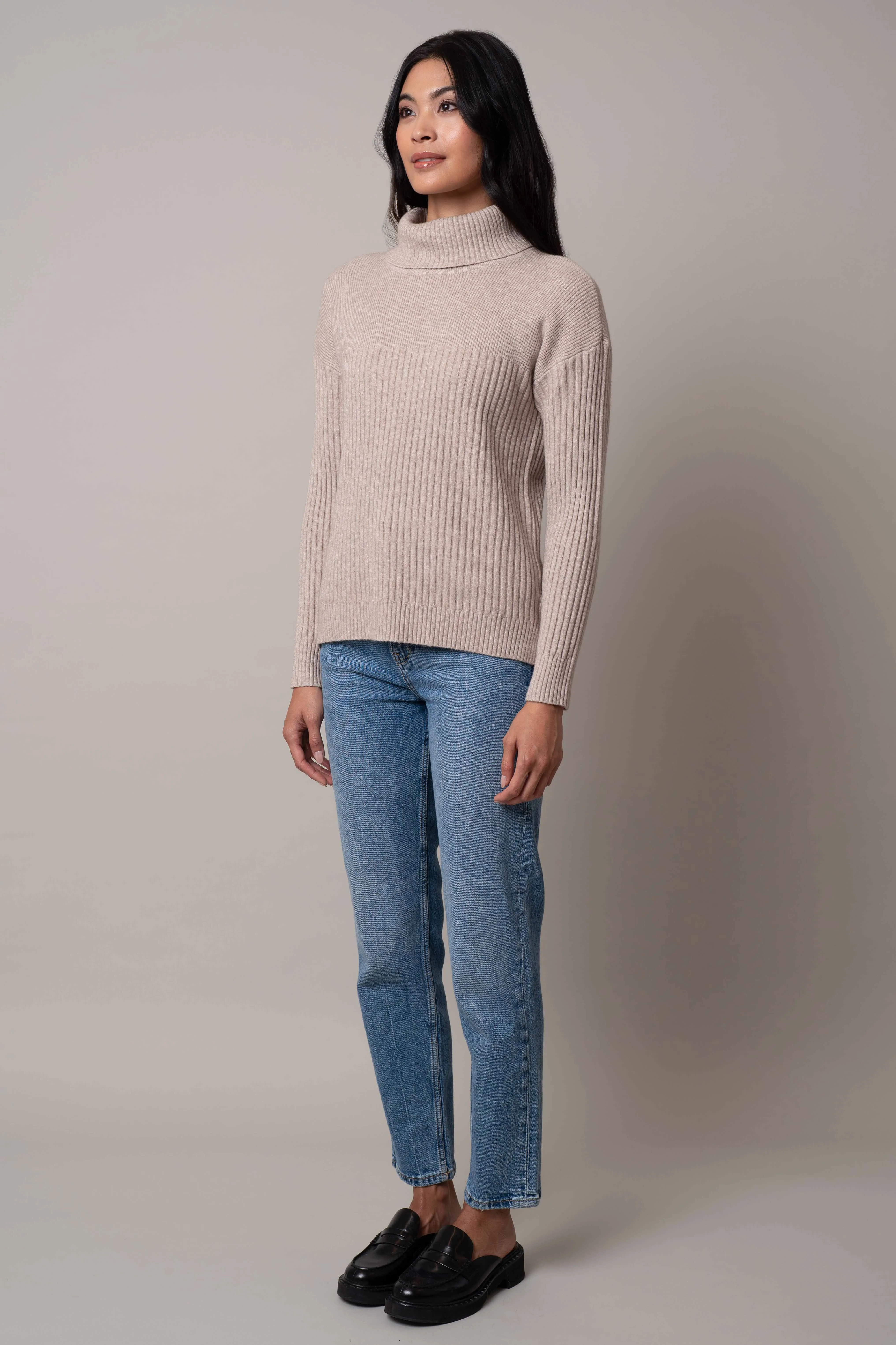 Wide Turtle Neck Pullover