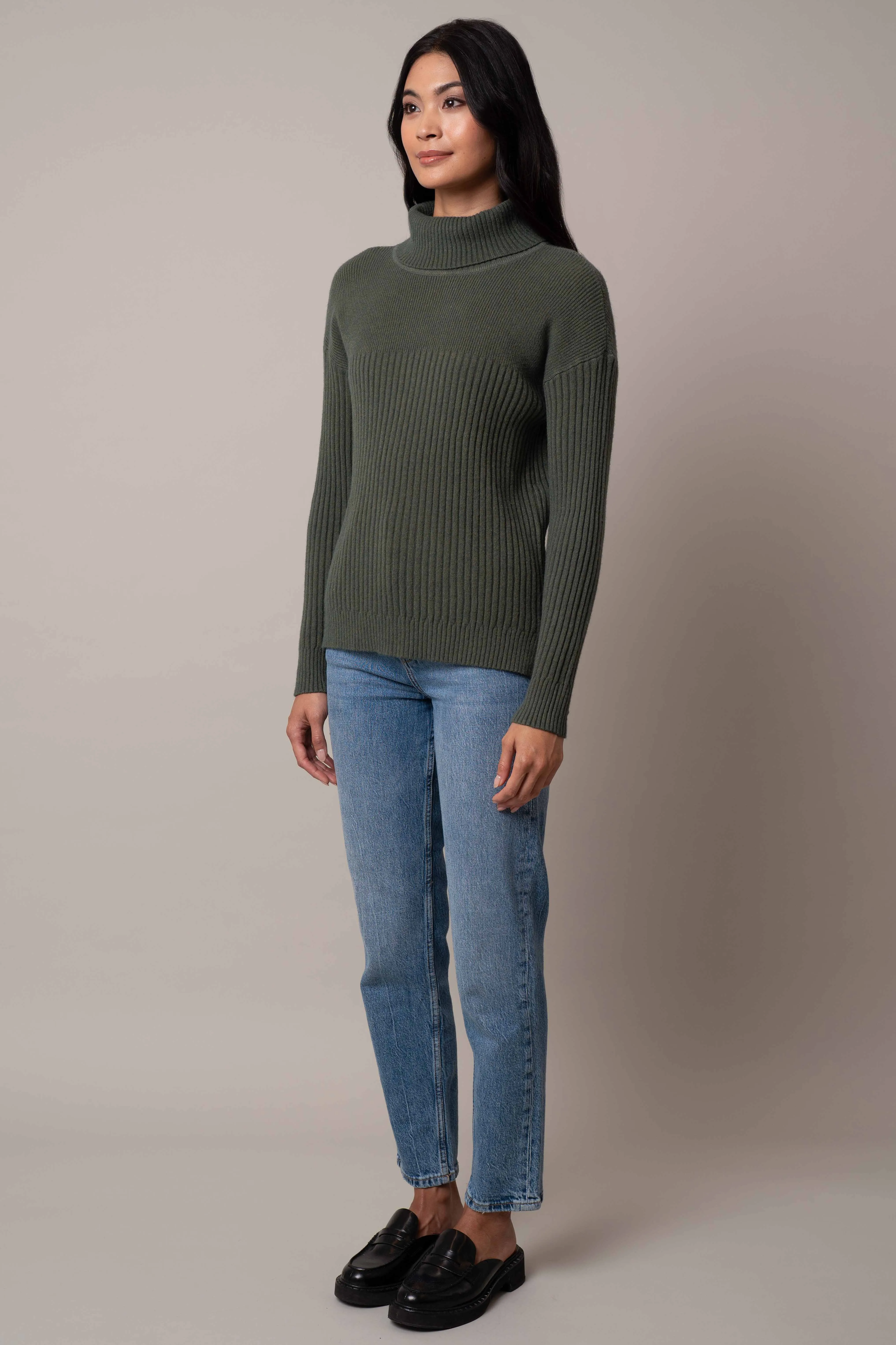 Wide Turtle Neck Pullover