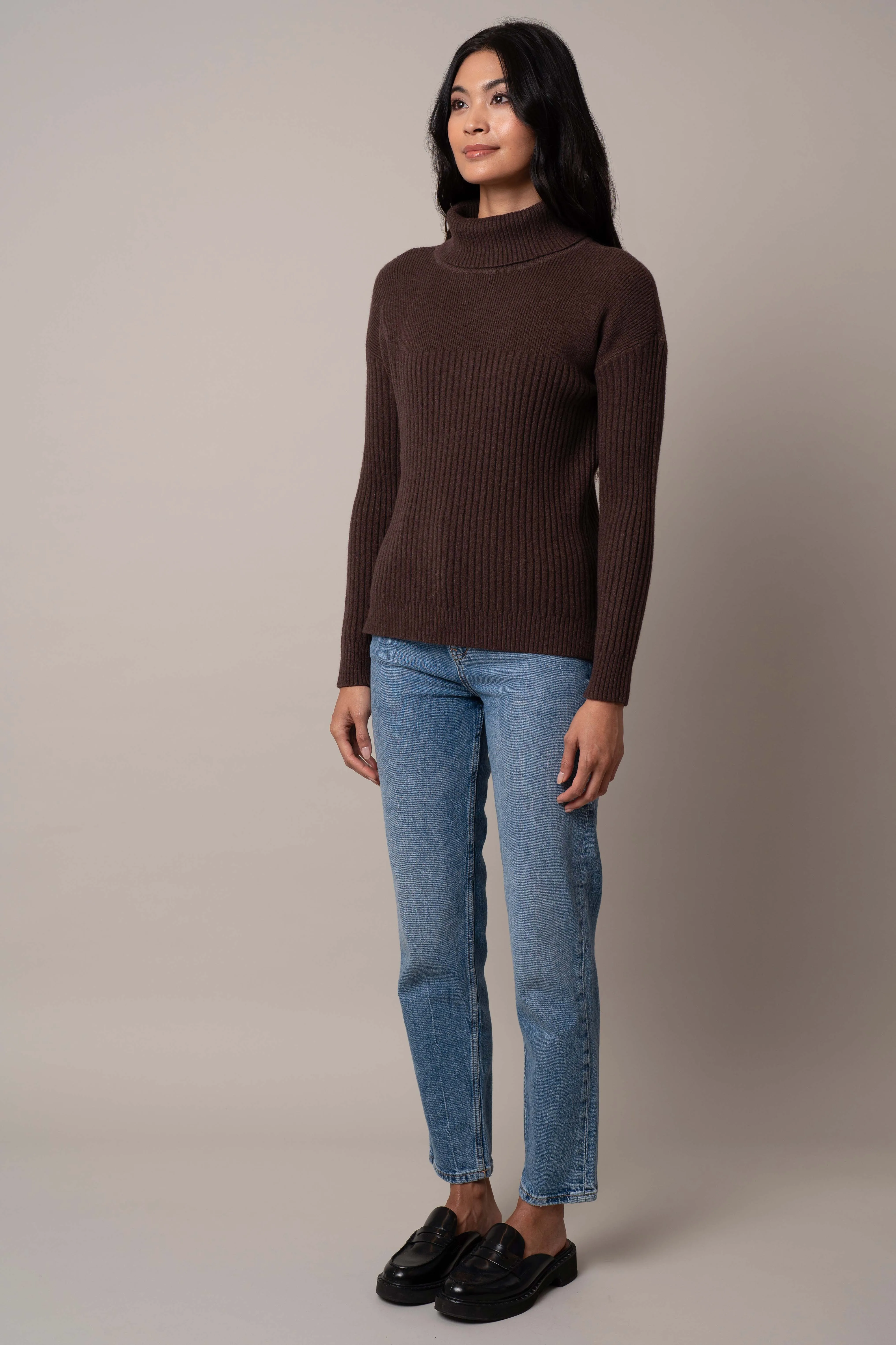 Wide Turtle Neck Pullover